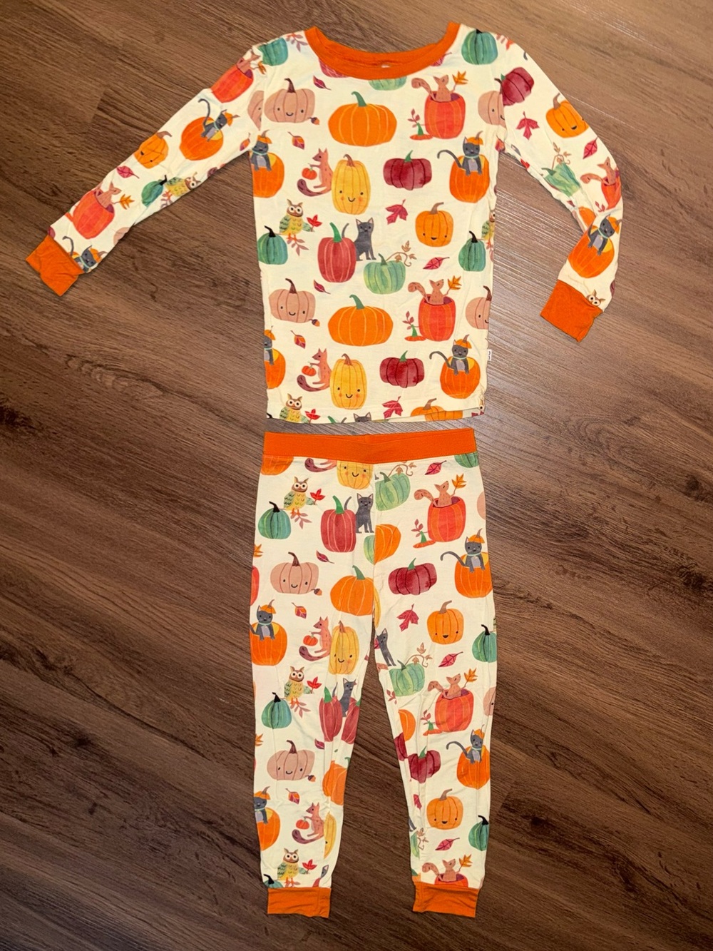 Little Sleepies Pumpkin Pals LS PJ Set (4T)